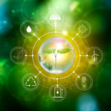 Digitalization in Renewable Energy